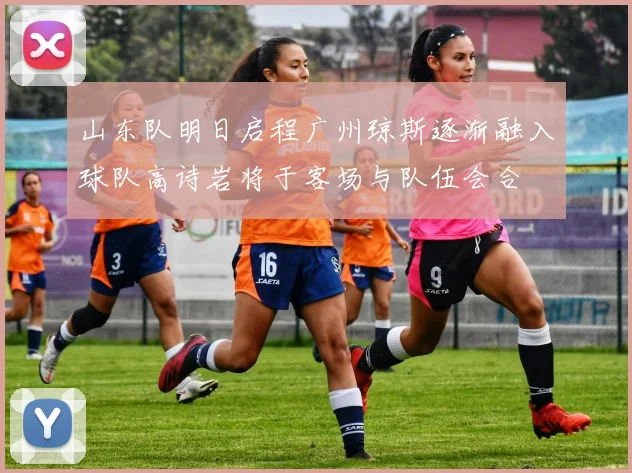 山东队明日启程广州琼斯逐渐融入球队高诗岩将于客场与队伍会合