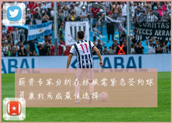 薪资专家分析森林狼需紧急签约球员康利或成最佳选择